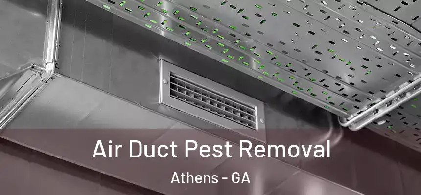  Air Duct Pest Removal Athens - GA