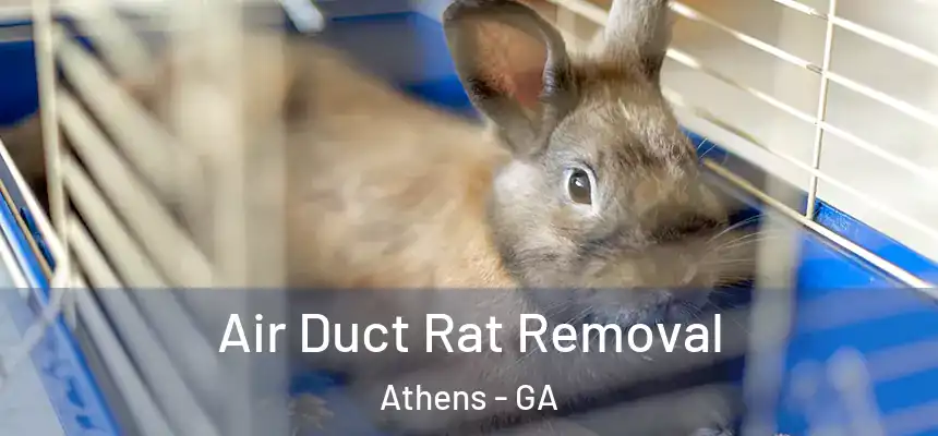  Air Duct Rat Removal Athens - GA