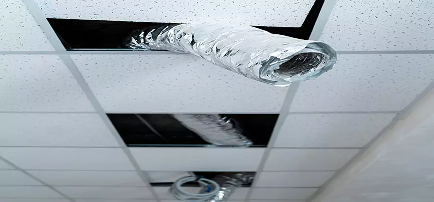 Affordable HVAC Sanitizing After Pest Removal in Athens