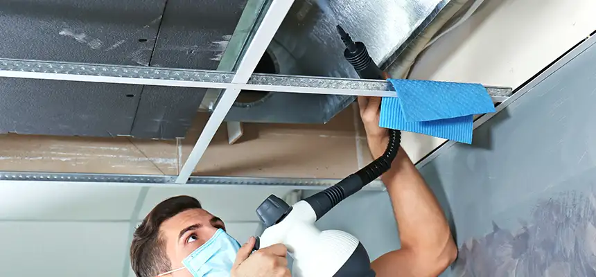 Our Air Duct Rodent Removal Services in Athens, GA