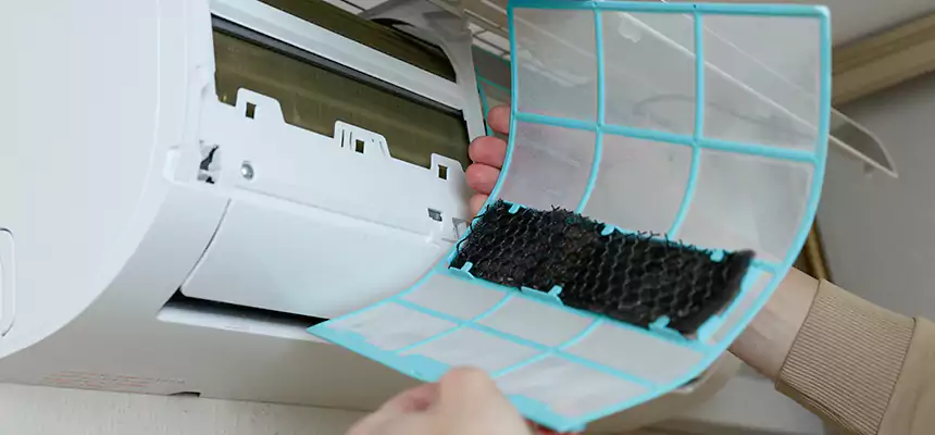 Gentle Ductwork Odor-Control Pet Dander Duct Cleaning in Athens, GA