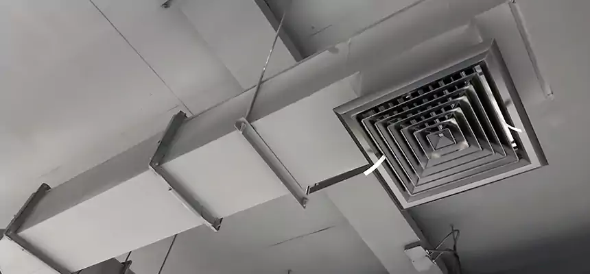 Our Rodent Droppings In Vents Services in Athens, GA