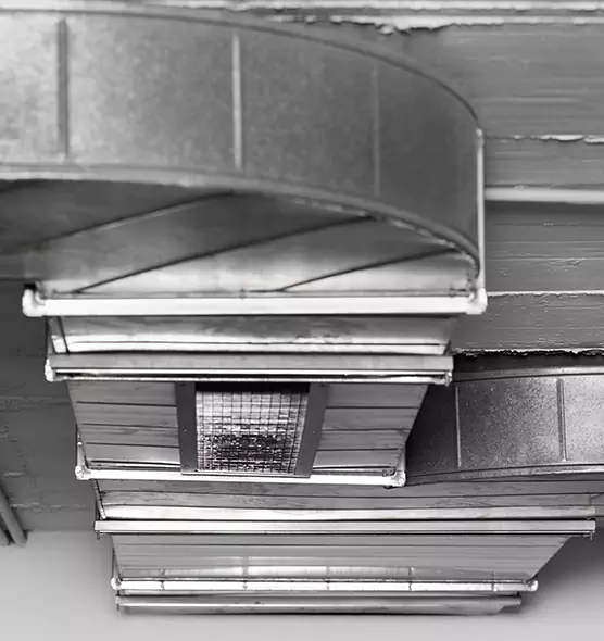 Professional Air Duct Pet Hair Removal in Athens, GA