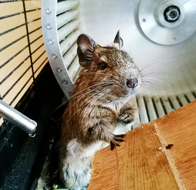 Why Homeowners & Businesses Trust Us Athens, GA