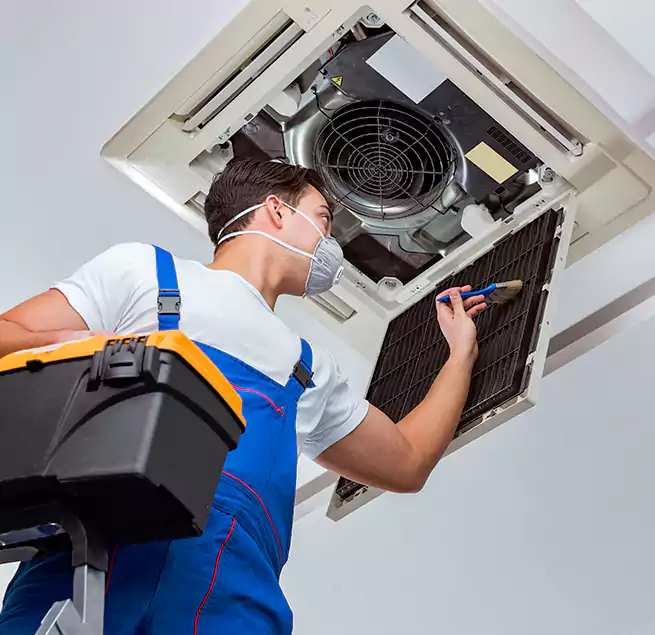 Why Homeowners & Businesses Trust Us in Athens, GA