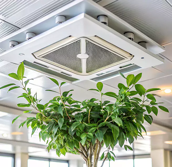 Why Homeowners & Businesses Trust Us in Athens, GA?