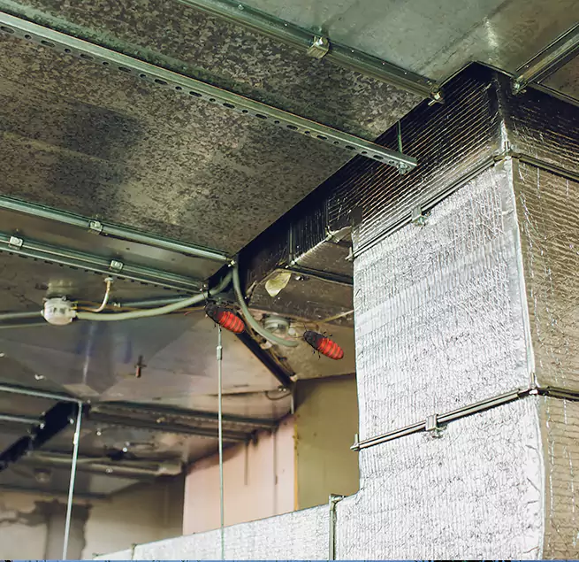 Why Homeowners & Businesses Trust Us Athens, GA?