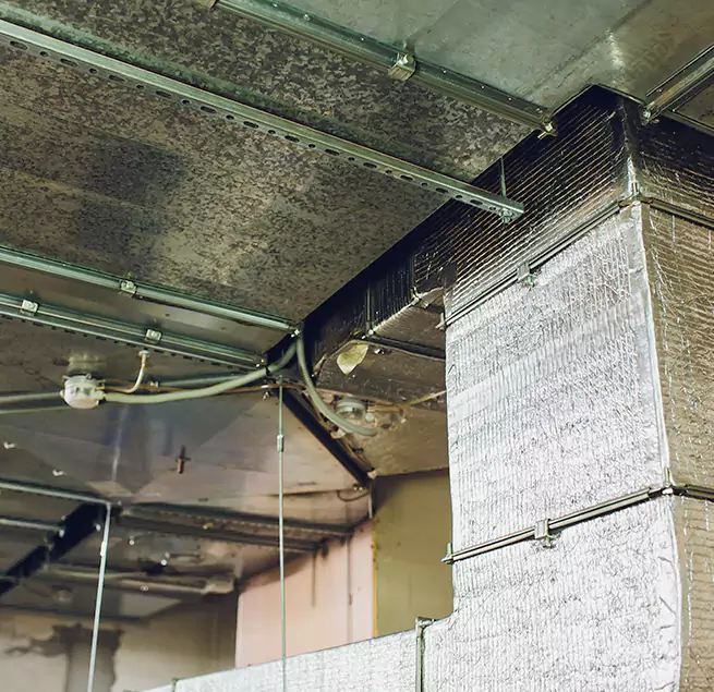 Why Homeowners & Businesses Trust Us in Athens, GA?