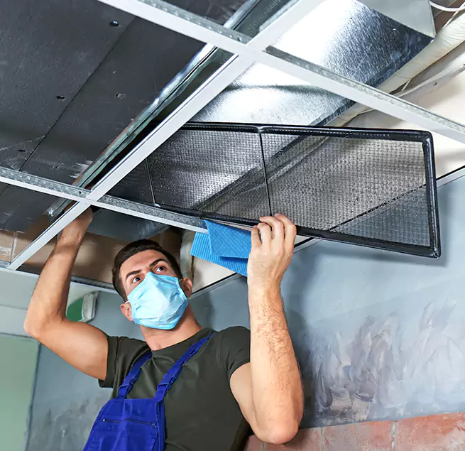 Why Homeowners & Businesses Trust Us in Athens, GA?